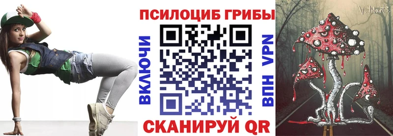Псилоцибиновые грибы мицелий  Чайковский 